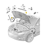 Load image into Gallery viewer, VW TIGUAN ALLSPACE 2022 - 2025 BONNET HOOD PANEL PRIMED STEEL NEW 5NN823031B