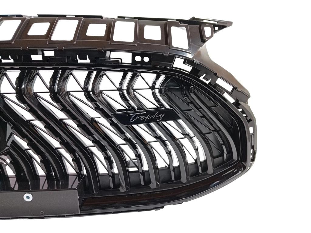 MG HS 2023 ON FRONT RADIATOR GRILLE BLACK TROPHY MODELS ONLY WITH CAMERA HOLE